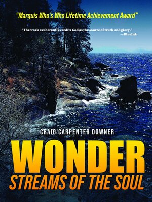 cover image of Wonder Streams of the Soul